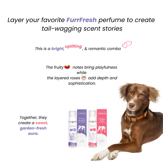 FurrFresh 🌸 Petal Pop & Berries – Playful Floral Bundle