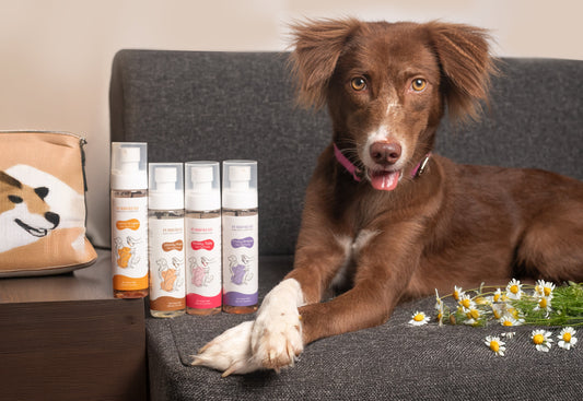 Pet Perfume in India, FurrFresh